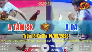 Trận 18 Xà Xía 14/05/2026 - Gà Bướm Anh Đa Canh Chặn Quá Khéo Léo