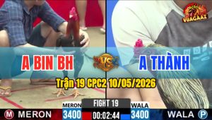 Trận 19 CPC2 10/05/2026 - Gà Chuối Anh Thành Bị Dí Bạc Nhưng Vẫn Lật Kèo