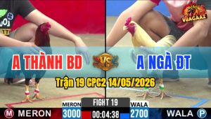 Trận 19 CPC2 14/05/2026 - 2 Con Lì Đòn Gặp Nhau Quá Cân Tài Cân Sức