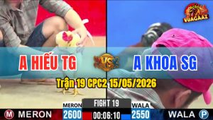 Trận 19 CPC2 15/05/2026 - Gà Anh Hiếu Tiền Giang Đá Cựa Quá Tịch