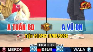 Trận 19 CPC3 11/05/2026 - Gà Anh Tuấn Ra Đá Cho Vũ Đồng Nai Ra Đảo