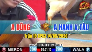 Trận 19 CPC3 14/05/2026 - Gà Anh Hạnh Đá Đòn Cựa Quá Hiểm Hóc