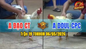 Trận 19 TONHON 06/05/2026 - Anh Đạo CT Thắng Gọn Anh Doul CPC