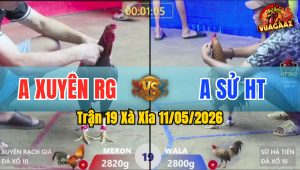 Trận 19 Xà Xía 11/05/2026 - Điều Cnah Chặn Đúng Thời Cơ Đâm Cú Té Xe