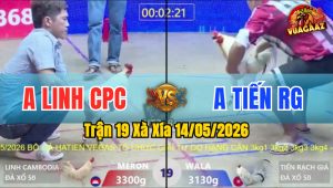 Trận 19 Xà Xía 14/05/2026 - Gà Bướm Anh Tiến Rạch Giá Có Chân Xạo Lờ