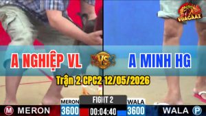 Trận 2 CPC2 12/05/2026 - Gà Anh Minh Lì Đòn Khiến Đỏ Sợ Bỏ Chạy