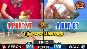 Trận 2 CPC2 14/05/2026 - Gà Anh Phát VT Đá Chưa Tới 3 Chân