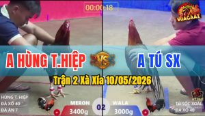 Trận 2 Xà Xía 10/05/2026 - Anh Tú Hạ Anh Hùng Lật Xe Tại Chỗ