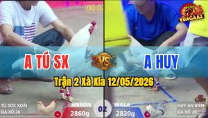 Trận 2 Xà Xía 12/05/2026 - Gà Xanh Đá Canh Chặn Quá Khéo Léo