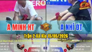 Trận 2 Xà Xía 15/05/2026 - Gà Anh Nhí Nhấc Chân Là Có Cựa
