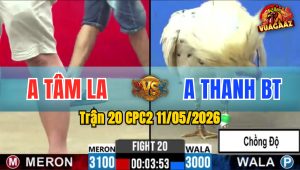 Trận 20 CPC2 11/05/2026 - Bướm Chồng Độ lên lớp Thất Bại