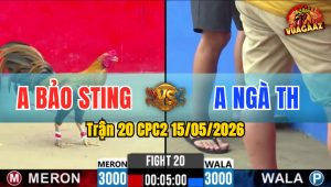 Trận 20 CPC2 15/05/2026 - Idol Bảo Sting Thất Thủ Trước Anh Ngà TH
