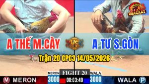 Trận 20 CPC3 14/05/2026 - Anh Thế Làm Thịt Anh Tư Nhanh Gọn