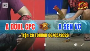 Trận 20 TONHON 06/05/2026 - Anh Sen VC Chấp Nữa Ký Vẫn Ăn Đẳng Cấp