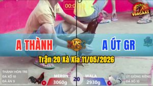 Trận 20 Xà Xía 11/05/2026 - Bướm Bị Siết Mấy Chân Bất Ngờ Bỏ Chạy