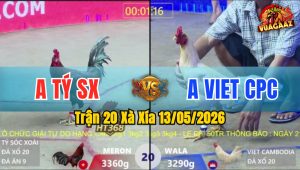 Trận 20 Xà Xía 13/05/2026 - Gà Điều Anh Tý Đá Chân Hiểm Hạ Gục Xanh