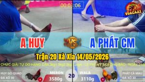 Trận 20 Xà Xía 14/05/2026 - Gà Anh Phát Cà Mau Đá Đâm Như Sát Thủ