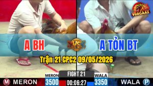 Trận 21 CPC2 09/05/2026 - Gà Khét Có Đòn Cựa Quá Hiểm Hóc