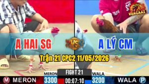 Trận 21 CPC2 11/05/2026 - Que Đuôi Lao Đá Chân Nào Đâm Chân Đó