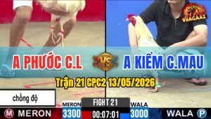 Trận 21 CPC2 13/05/2026 - Anh Kiểm Cà Mau Lụm Luôn Gà Chồng Độ