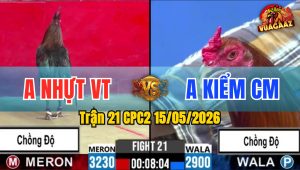 Trận 21 CPC2 15/05/2026 - Idol Kiểm Cà Mau Chông Độ Lên Lớp Đằng Cấp
