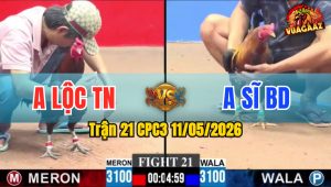 Trận 21 CPC3 11/05/2026 - Điều Hiệu Dở Giò Là Đâm Hạ Đỏ Giữa Sân