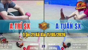 Trận 21 Xà Xía 11/05/2026 - Xanh Phút 90 Chịu Hết Nổi Thấm Tang Té