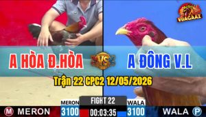 Trận 22 CPC2 12/05/2026 - Gà Anh Hoà ĐH Có Pha Lật Kèo Phút Cuối
