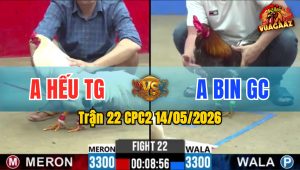Trận 22 CPC2 14/05/2026 - 2 Chiến Kê Lì Đòn Bất Phân Thắng Bại