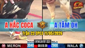 Trận 22 CPC3 11/05/2026 - B52 Hắc Coca Đưa Anh Em Về Bờ