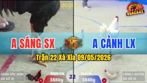 Trận 22 Xà Xía 09/05/2026 - Anh Sáng Tiễn Anh Cảnh Lên Đường Về Nước