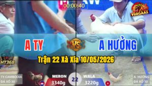 Trận 22 Xà Xía 10/05/2026 - Ăn Miếng Trả Miếng 2 Đội Quá Cân Tài Cân Sức
