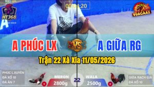 Trận 22 Xà Xía 11/05/2026 - Đỏ Đá Như Súng Bắn 2 Chân Bưng Xanh Ra