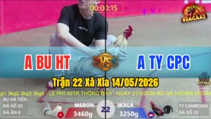 Trận 22 Xà Xía 14/05/2026 - Gà Bướm Anh Bu Hà Tiên Đá Cựa Quá Tịch