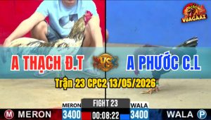 Trận 23 CPC2 13/05/2026 - Gà Anh Thạch Đá Canh Chặn Quá Khôn Khéo