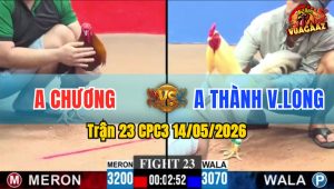 Trận 23 CPC3 14/05/2026 - Gà Điều Siết 1 Hơi Buông Ra Xanh Ói