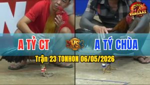 Trận 23 TONHON 06/05/2026 - Anh Tỷ CT Không Cho Đối Thủ Cơ Hội