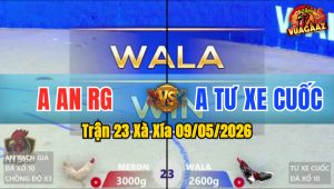 Trận 23 Xà Xía 09/05/2026 - Anh An Chồng Độ 3 Gặp Phải Anh Tư Xe Cuốc