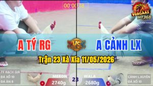 Trận 23 Xà Xía 11/05/2026 - Đỏ Chấp Ngông Gặp Số Xịn