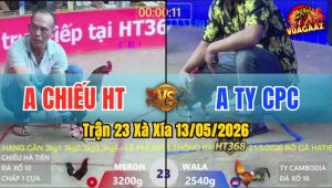 Trận 23 Xà Xía 13/05/2026 - Gà Anh Ty Đá Cái Bo Như Xe Tải Đụng