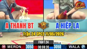 Trận 24 CPC2 11/05/2026 - Bướm Bị Phản Thua Đầy Cay Đắng