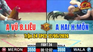Trận 24 CPC2 12/05/2026 - Gà Điều Anh Hai Hóc Môn Đá Đỏ Lật Xe