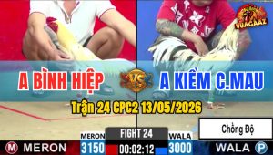 Trận 24 CPC2 13/05/2026 - Anh Kiểm CM Chồng Độ Gặp Anh Bình Hiệp