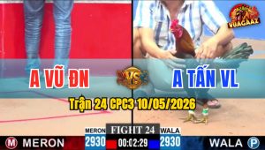 Trận 24 CPC3 10/05/2026 - Gà Anh Tấn VL Đâm Thấy Ớn Lạnh