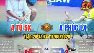 Trận 24 Xà Xía 11/05/2026 - Đỏ Chấp Ẩu Và Cái Kết