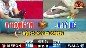Trận 25 CPC2 12/05/2026 - Gà Bướm Anh Ty HG Đá Cái Bo Như Xe Đụng