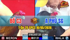 Trận 25 CPC3 10/05/2026 - Gà Điều Đá Que Thì Lấy Đâu Đường Ra