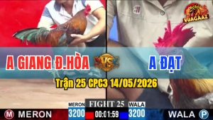 Trận 25 CPC3 14/05/2026 - Anh Giang Đức Hoà Lại Tiếp Tục Hoà