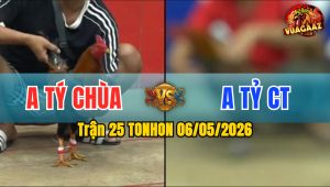 Trận 25 TONHON 06/05/2026 - Anh Tỷ CT Nạp 3 Cước Đỏ Gãy Chân