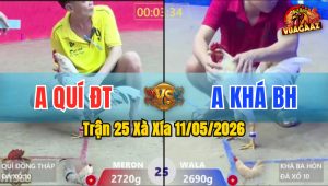 Trận 25 Xà Xía 11/05/2026 - Xanh Ra Chân Là Đâm Đỏ Té Hết Cứu
